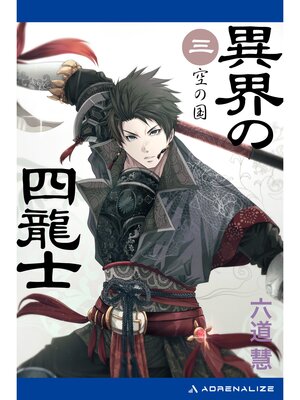 cover image of 異界の四龍士（３）　空の国